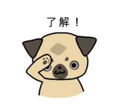 little pug dog sticker #9888572