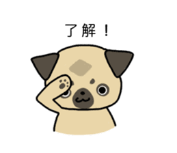 little pug dog sticker #9888572