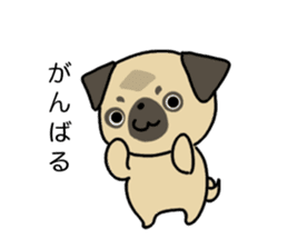 little pug dog sticker #9888576