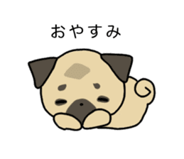 little pug dog sticker #9888580
