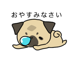 little pug dog sticker #9888581