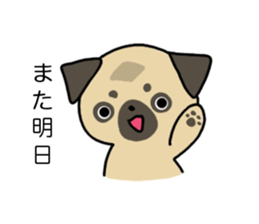 little pug dog sticker #9888582