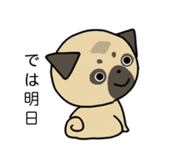 little pug dog sticker #9888583