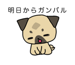 little pug dog sticker #9888584