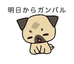 little pug dog sticker #9888584