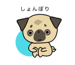 little pug dog sticker #9888589