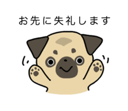 little pug dog sticker #9888594