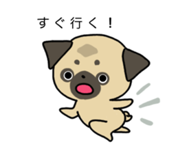 little pug dog sticker #9888599
