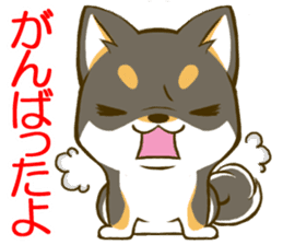 Japanese Black Shiba Inu tan 1 sticker #9888767