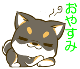 Japanese Black Shiba Inu tan 1 sticker #9888768