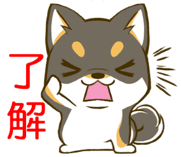 Japanese Black Shiba Inu tan 1 sticker #9888772