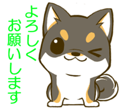 Japanese Black Shiba Inu tan 1 sticker #9888773