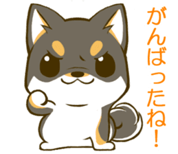 Japanese Black Shiba Inu tan 1 sticker #9888774