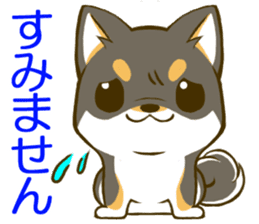 Japanese Black Shiba Inu tan 1 sticker #9888776