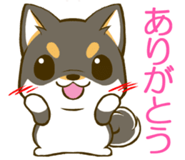 Japanese Black Shiba Inu tan 1 sticker #9888778