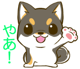 Japanese Black Shiba Inu tan 1 sticker #9888781