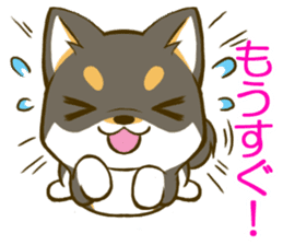 Japanese Black Shiba Inu tan 1 sticker #9888785