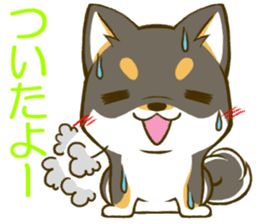 Japanese Black Shiba Inu tan 1 sticker #9888786