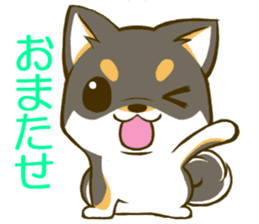 Japanese Black Shiba Inu tan 1 sticker #9888788