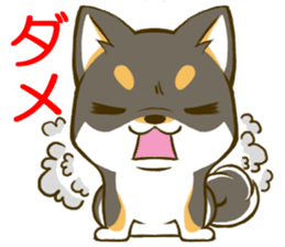 Japanese Black Shiba Inu tan 1 sticker #9888789