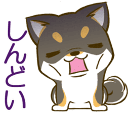 Japanese Black Shiba Inu tan 1 sticker #9888790