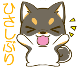 Japanese Black Shiba Inu tan 1 sticker #9888791