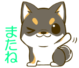 Japanese Black Shiba Inu tan 1 sticker #9888792