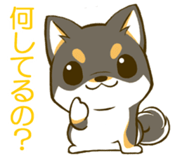 Japanese Black Shiba Inu tan 1 sticker #9888793