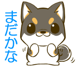 Japanese Black Shiba Inu tan 1 sticker #9888794