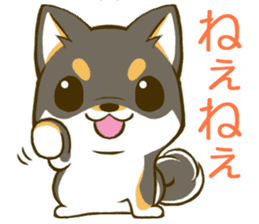 Japanese Black Shiba Inu tan 1 sticker #9888796