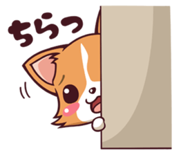 Cute and lovely Corgi sticker #9889932