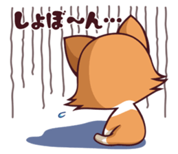 Cute and lovely Corgi sticker #9889936