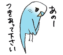 Lovable parakeet, Pal sticker #9890524