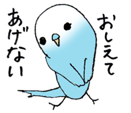 Lovable parakeet, Pal sticker #9890543