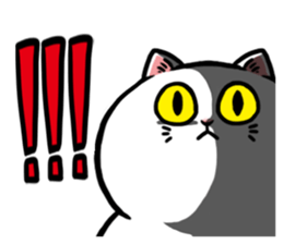 Hello! Momo sticker #9893194