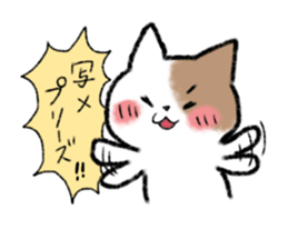 brown and white cat sticker #9894696