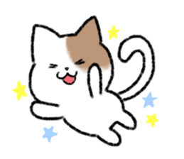 brown and white cat sticker #9894703