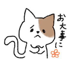 brown and white cat sticker #9894705