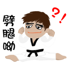 TKD NO1 sticker #9898706