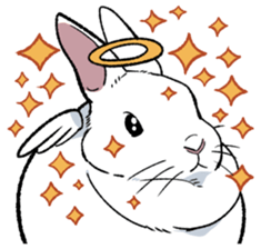 super cute angel rabbit sticker #9899332