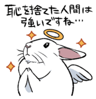 super cute angel rabbit sticker #9899346