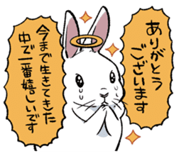 super cute angel rabbit sticker #9899358