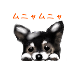 -Chihuahuas-ver.5 sticker #9900400