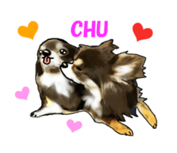 -Chihuahuas-ver.5 sticker #9900415