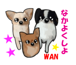 -Chihuahuas-ver.5 sticker #9900416