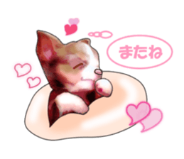 -Chihuahuas-ver.5 sticker #9900421