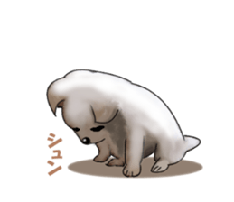 -Chihuahuas-ver.5 sticker #9900423