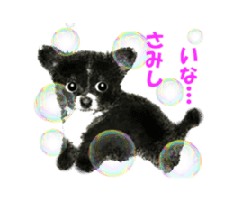 -Chihuahuas-ver.5 sticker #9900425