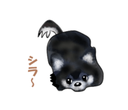 -Chihuahuas-ver.5 sticker #9900427