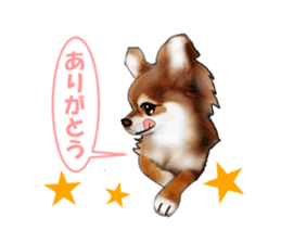 -Chihuahuas-ver.5 sticker #9900428